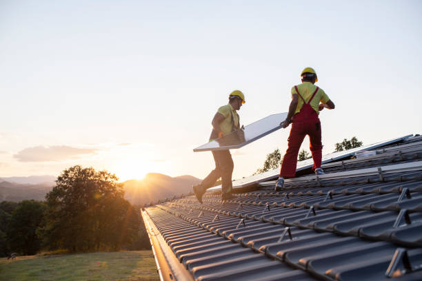 Best Roof Moss and Algae Removal  in George, IA